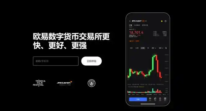 DOGE官方钱包下载页面展示
